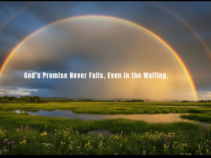 The Process Before the&nbsp;Promise